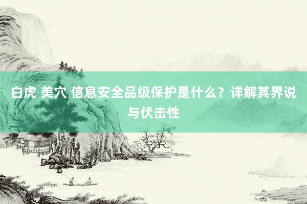 白虎 美穴 信息安全品级保护是什么?详解其界说与伏击性