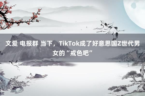 文爱 电报群 当下,TikTok成了好意思国Z世代男女的“戒色吧”