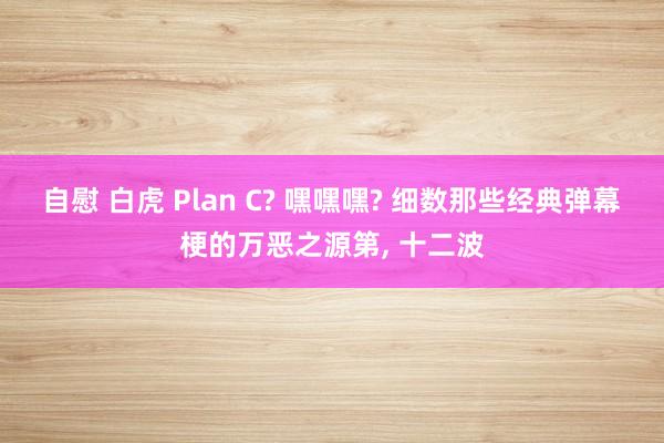 自慰 白虎 Plan C? 嘿嘿嘿? 细数那些经典弹幕梗的万恶之源第， 十二波