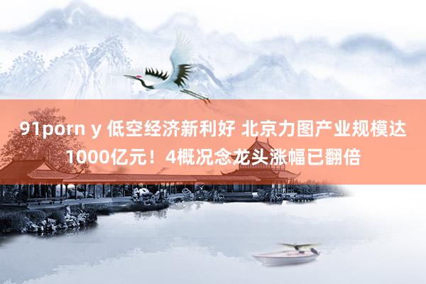 91porn y 低空经济新利好 北京力图产业规模达1000亿元！4概况念龙头涨幅已翻倍