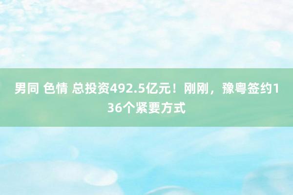 男同 色情 总投资492.5亿元！刚刚，豫粤签约136个紧要方式