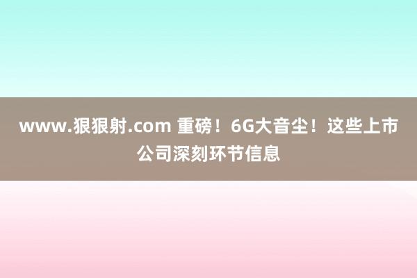 www.狠狠射.com 重磅!6G大音尘!这些上市公司深刻环节信息