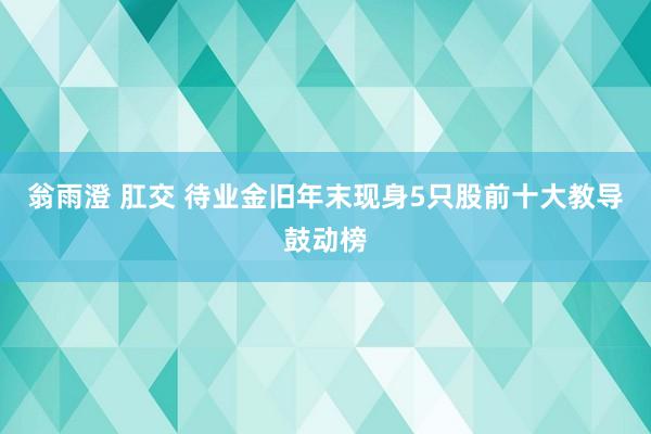 翁雨澄 肛交 待业金旧年末现身5只股前十大教导鼓动榜