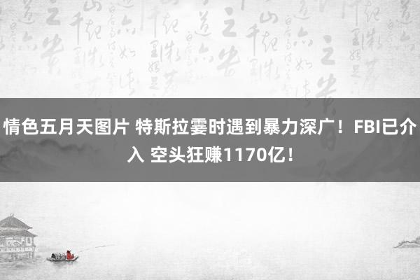 情色五月天图片 特斯拉霎时遇到暴力深广！FBI已介入 空头狂赚1170亿！